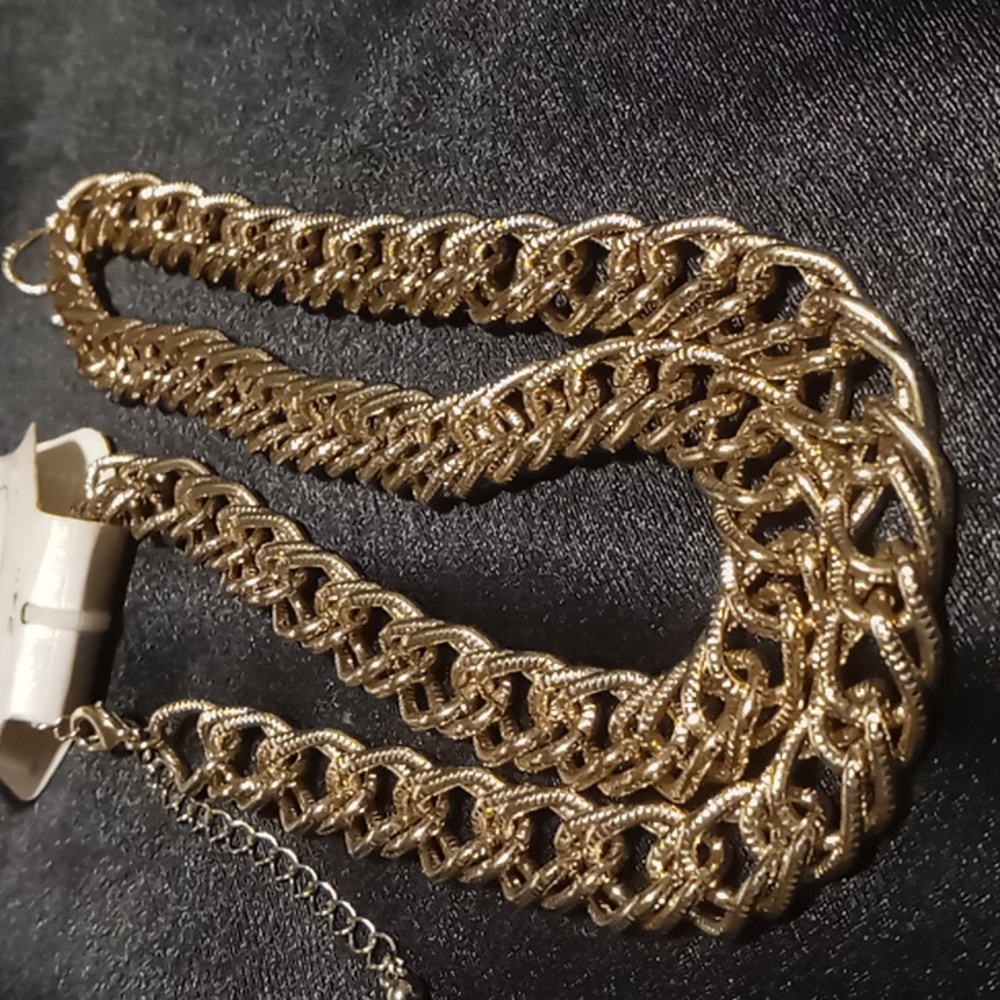 KIM Rogers 24 inch long gold double link chain.nwt. - Picture 3 of 5
